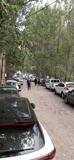 عکس گیوی