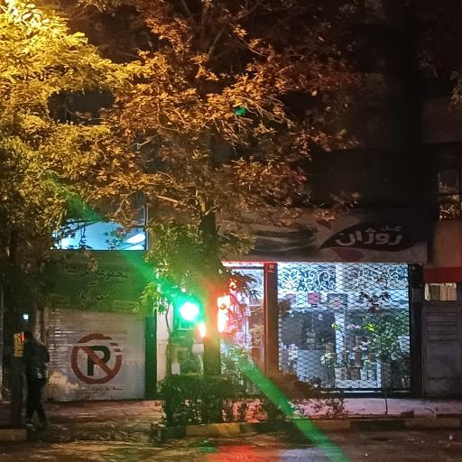عکس گل سرای روژان