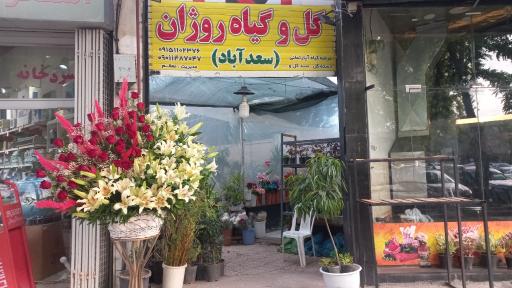 عکس گل سرای روژان