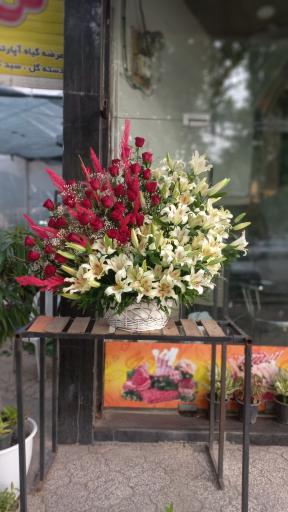 عکس گل سرای روژان
