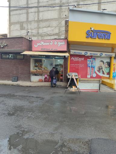 عکس میوه دستچین
