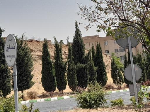 عکس میدان شقایق