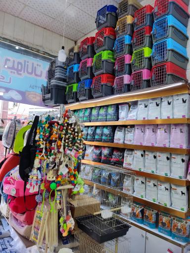 عکس پت شاپ تهرانسر