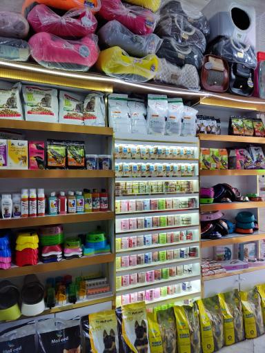 عکس پت شاپ تهرانسر