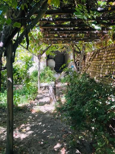 عکس کارگاه سنتی گلاب و عرقیات گیاهی طنین علوی