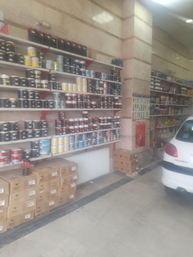 عکس لیسه گیری و رنگ خودرو محمد