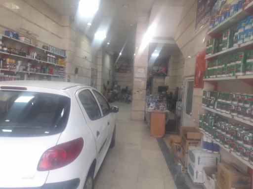 عکس لیسه گیری و رنگ خودرو محمد