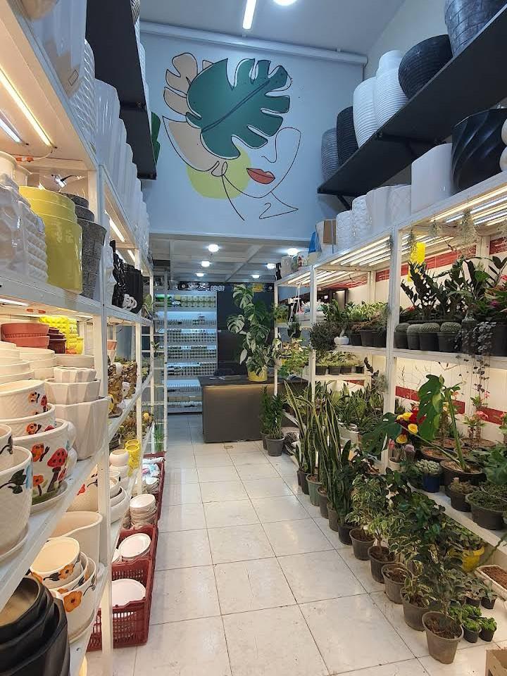 عکس کلینیک صفر تا صد گل من