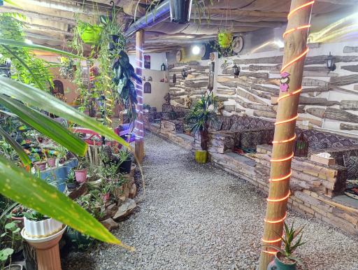 عکس باغ رستوران آپادانا