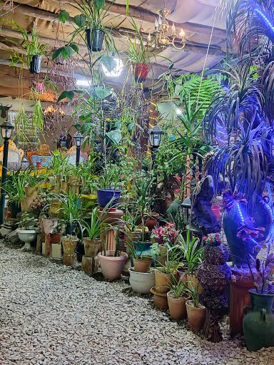 عکس باغ رستوران آپادانا