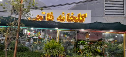 عکس گلخانه بزرگ فاتحی