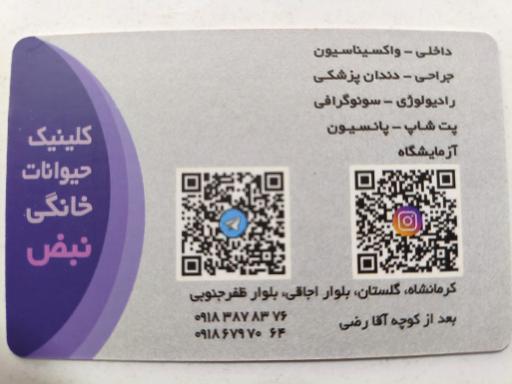 عکس کلینیک دامپزشکی نبض