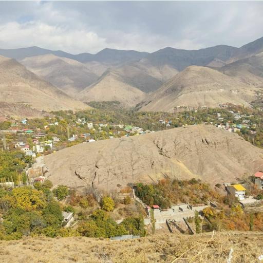 عکس برگ جهان