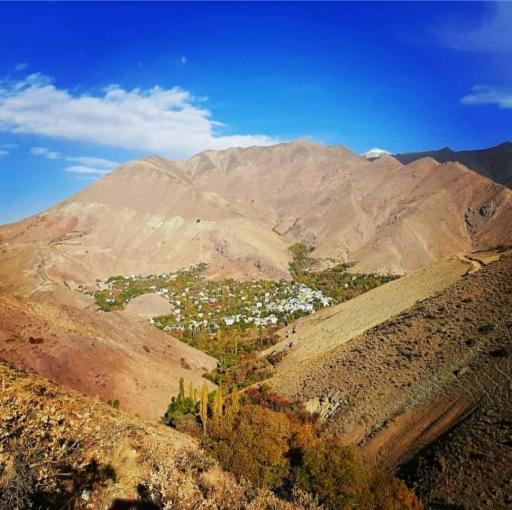 عکس برگ جهان