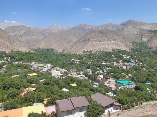 عکس برگ جهان