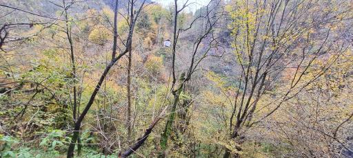 عکس آبشار دودوزن