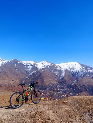 عکس برگ جهان