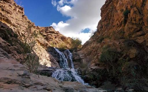 عکس برگ جهان