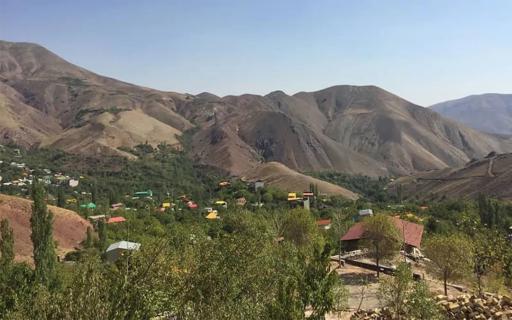 عکس برگ جهان