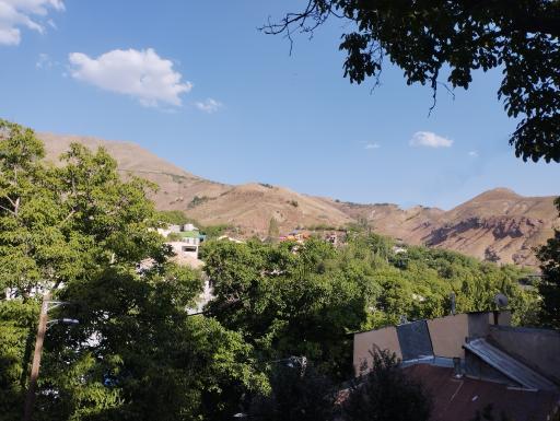 عکس برگ جهان