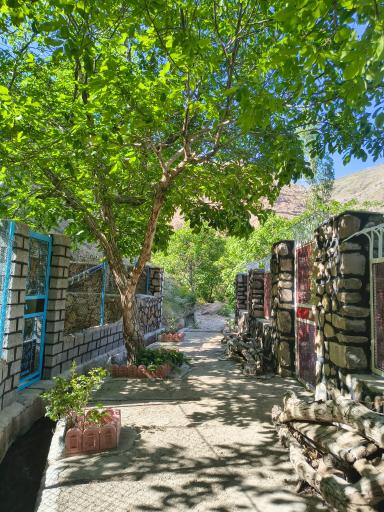 عکس برگ جهان