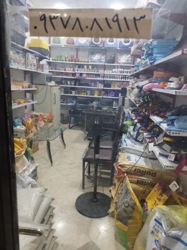عکس پت شاپ فرزانگان