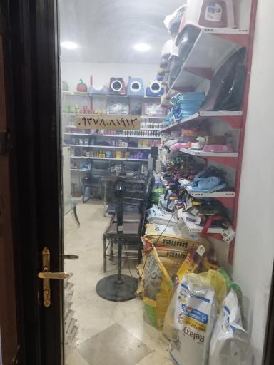 عکس پت شاپ فرزانگان
