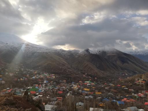 عکس برگ جهان
