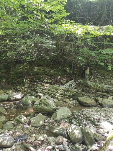 عکس آبشار آب شرشر