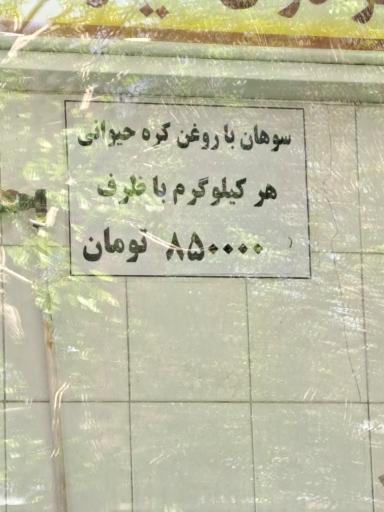 عکس سوهان توحید برادران نیکو صحبت