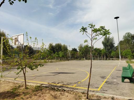 عکس زمین بسکتبال بوستان خلیج فارس