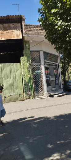 عکس سوهان توحید برادران نیکو صحبت