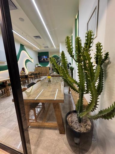 عکس رستوران ته چین شاهان