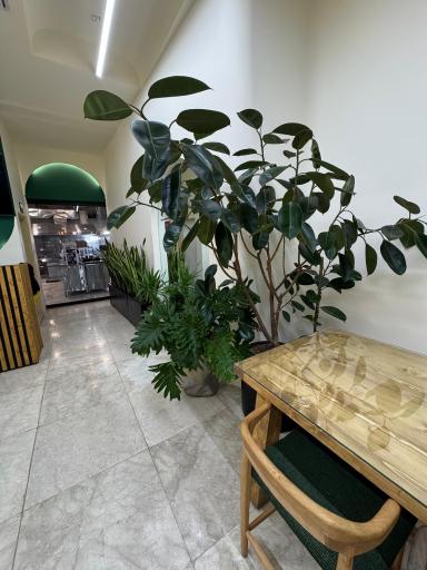 مجموعه غذایی شاهان