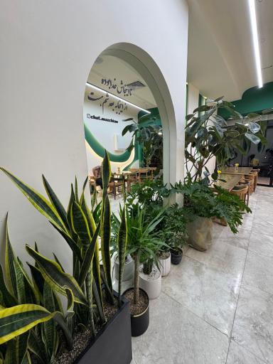 عکس مجموعه غذایی شاهان