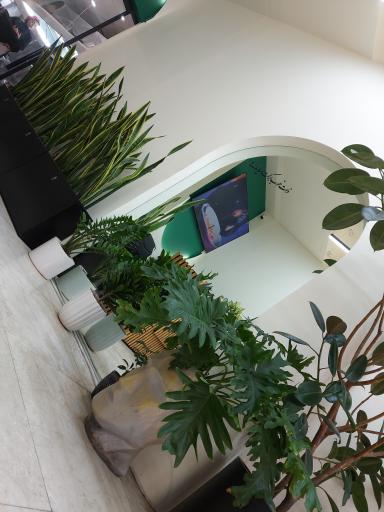 عکس مجموعه غذایی شاهان