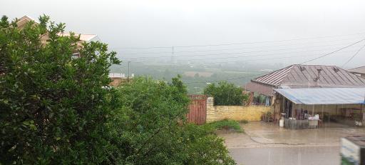 عکس کوتنا