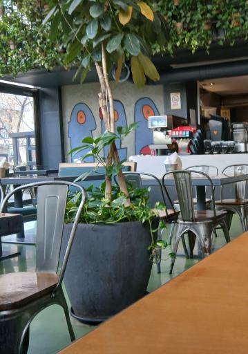 عکس دونر گاردن شهرک غرب