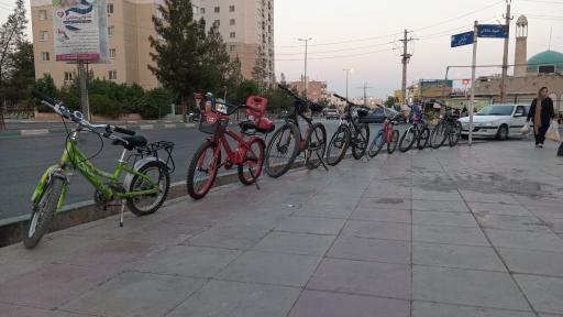 عکس دوچرخه ساز پرند 