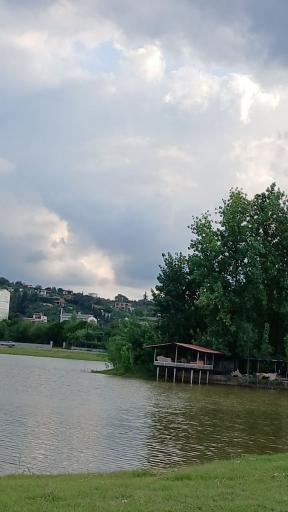عکس کوتنا