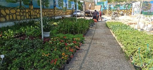 عکس گلسرای باغ بهشت