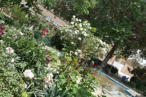 دبیرستان و دانشگاه دخترانه علوم و معارف اسلامی شهید مطهری (ره)