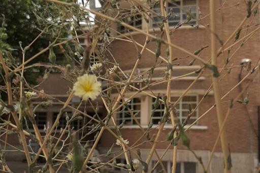 عکس دبیرستان و دانشگاه دخترانه علوم و معارف اسلامی شهید مطهری (ره)