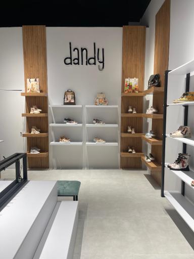 کیف و کفش دندی