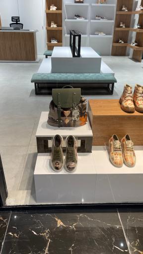 عکس کیف و کفش دندی