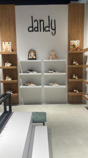 عکس کیف و کفش دندی