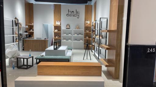 عکس کیف و کفش دندی