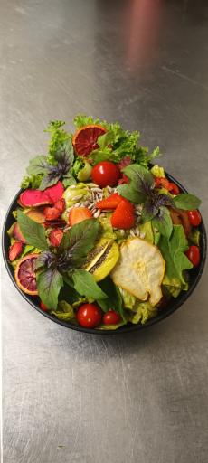 عکس پیتزا ریتو