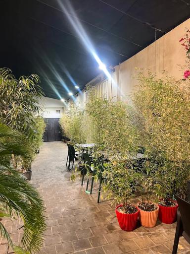 عکس پیتزا ریتو