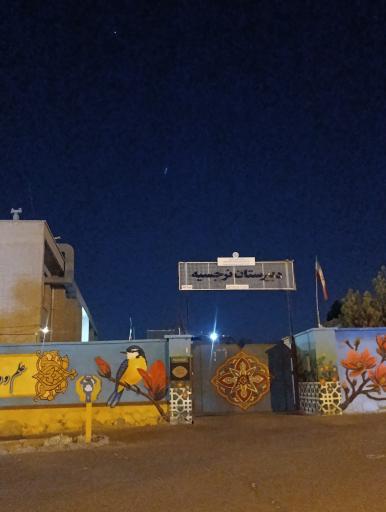 عکس دبیرستان نرجسیه